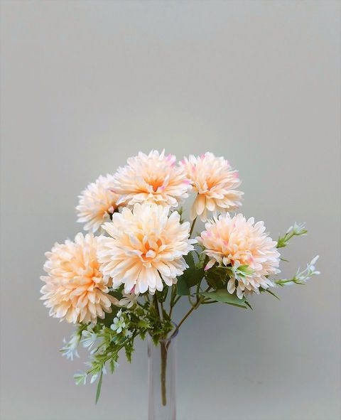 Dahlienpick 30cm in 6 Blüten, aprikose