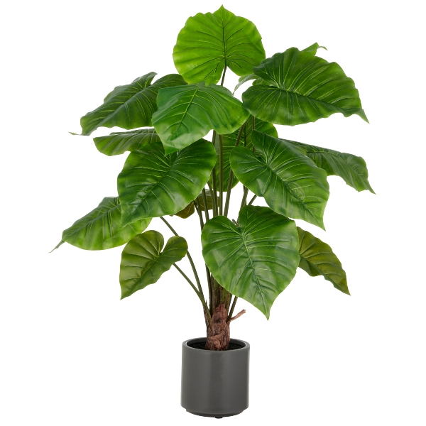 Alocasia Wentii 1925613-50 in Grün, künstliche pflanze, topfpflanze, grünes blattwerk, kunststofftopf, zimmerpflanze