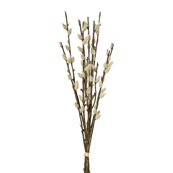 Gasper Weidekätzchenbund, 42cm in Farbe Weiß, zweige, zweige mit blüten, künstliche pflanze, trockenë?, bouquetzweige