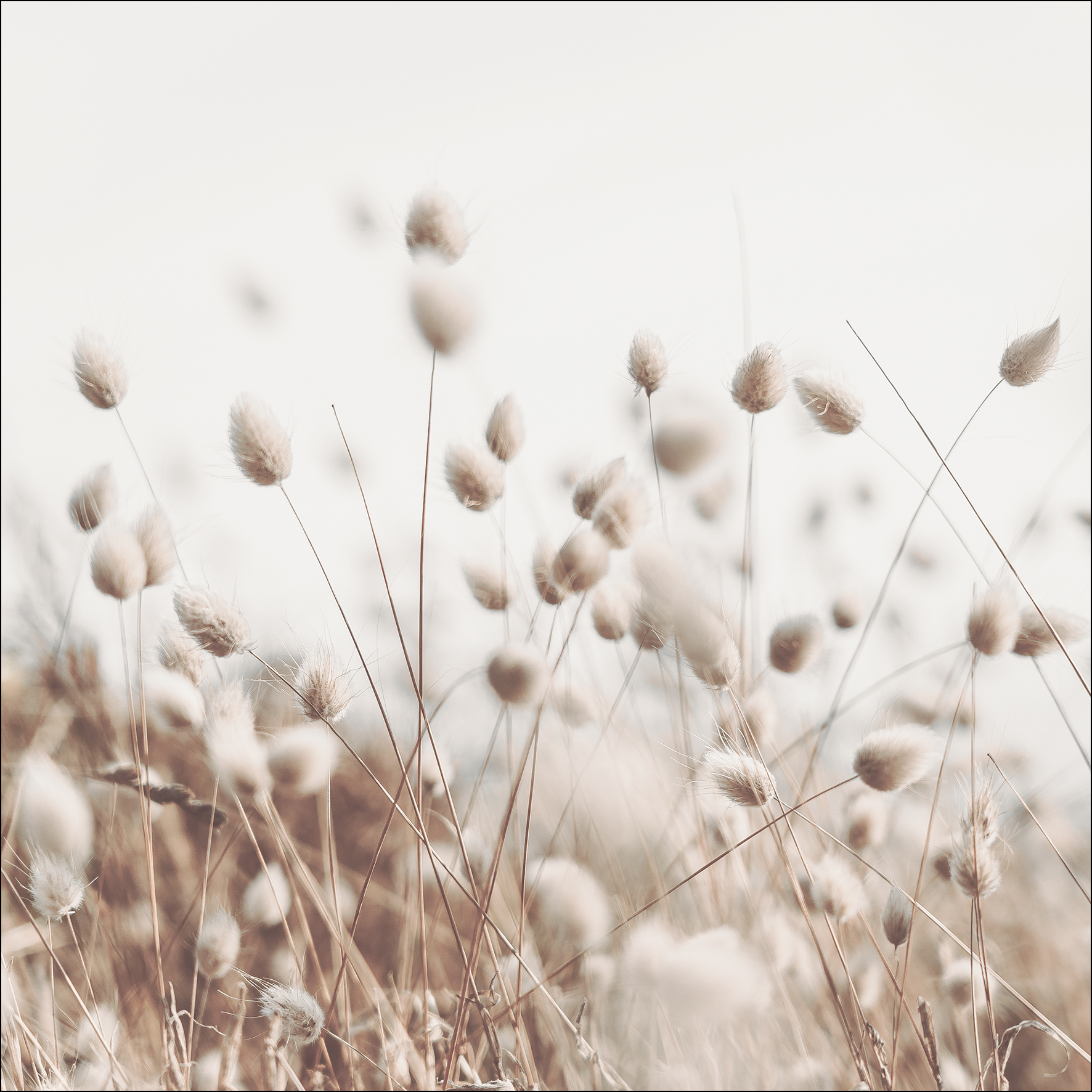 ProArt Glas-Art 30x30cm Field Flowers V