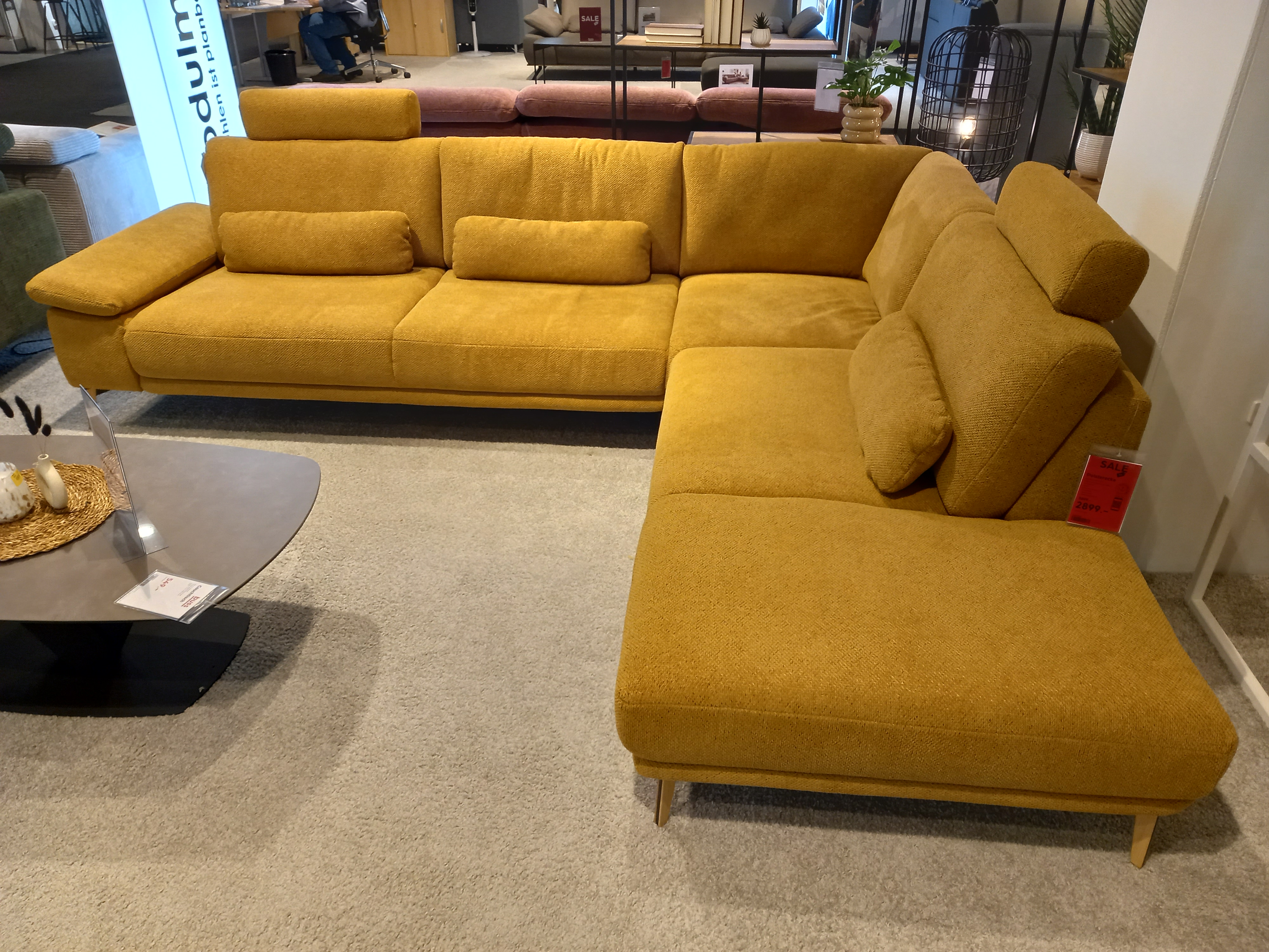 Modulmaster Polsterecke MM-ZE1203 in Stoff Macan zimt Pg.D, Couch, Mobiliar, Pflanze, Person, Tabelle