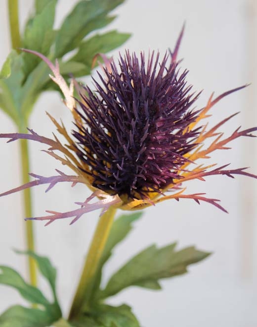  // Distel 3-fach // hellviolett // Höhe ca. 83 cm