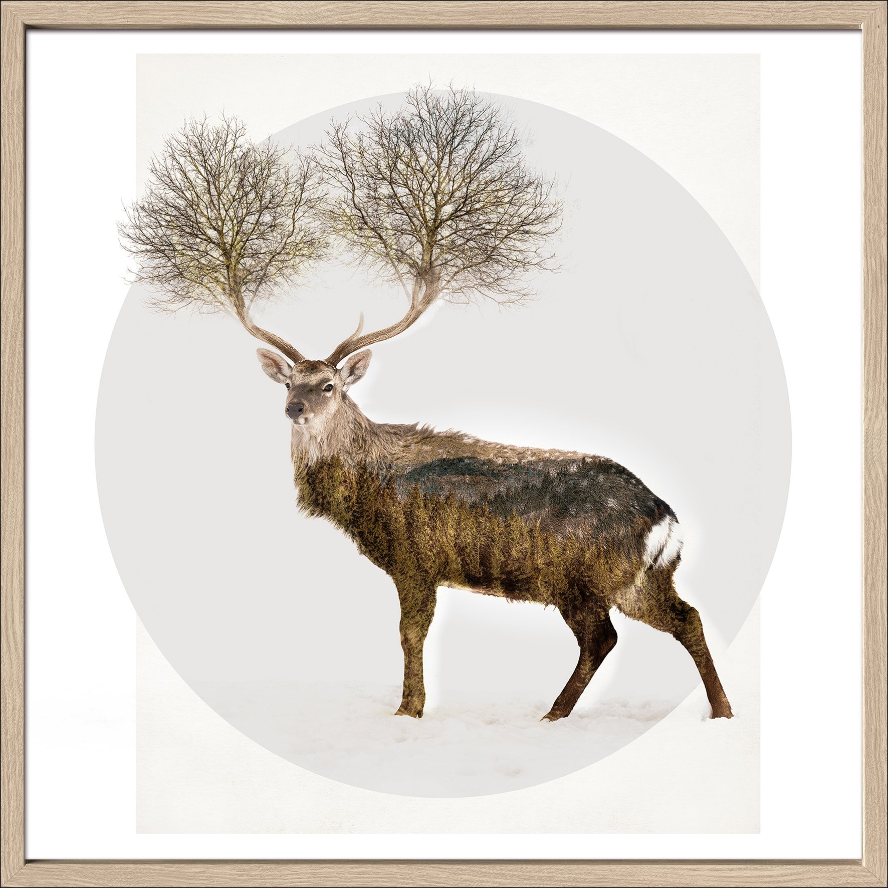ProArt Kunstdruck, 55 x 55 cm Deer With Trees ProArt Kunstdruck, 55 x 55 cm Deer With Trees