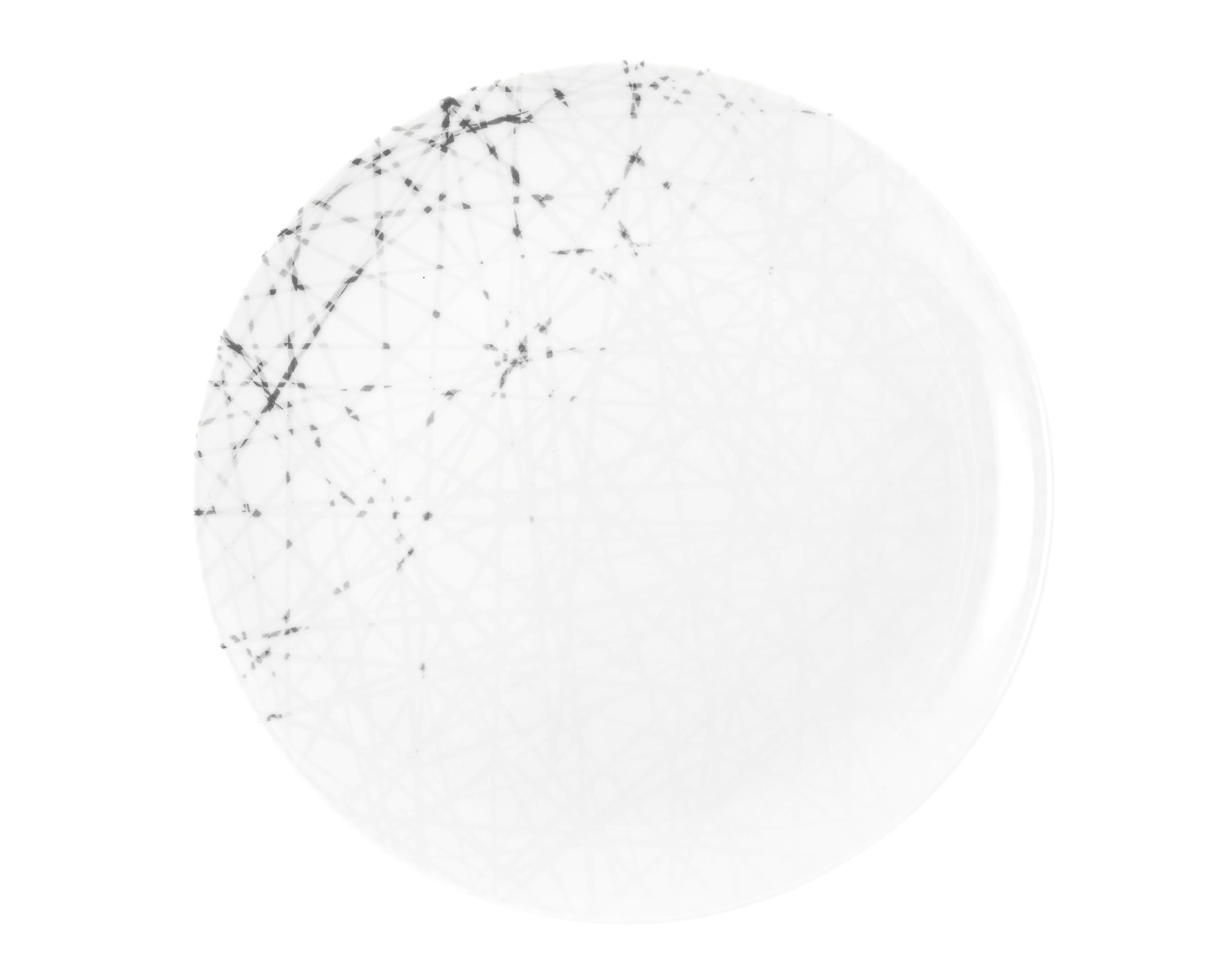 Seltmann Weiden Frühstücksteller rund 22,5cm Liberty 65162 Brace Seltmann Weiden Frühstücksteller rund 22,5cm Liberty 65162 Brace