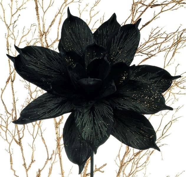 Soft Flower 'Magnolienblüte' 7581998F2 in 28cm, schwarz