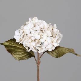 DPI Hortensie 43796-05 in 45cm Fb. cream