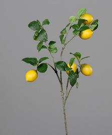 DPI Zitronenzweig 84 cm 55403 in mit 5 Früchten DPI Zitronenzweig 84 cm 55403 in mit 5 Früchten