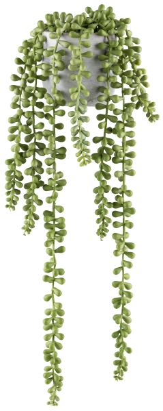 Roomio Sedumhänger JOHAN Durchmesser ca. 8,5 cm, Höhe ca. 45 cm in Fb. hellgrün, grau, Pflanze, Rebe, Blatt, Farn
