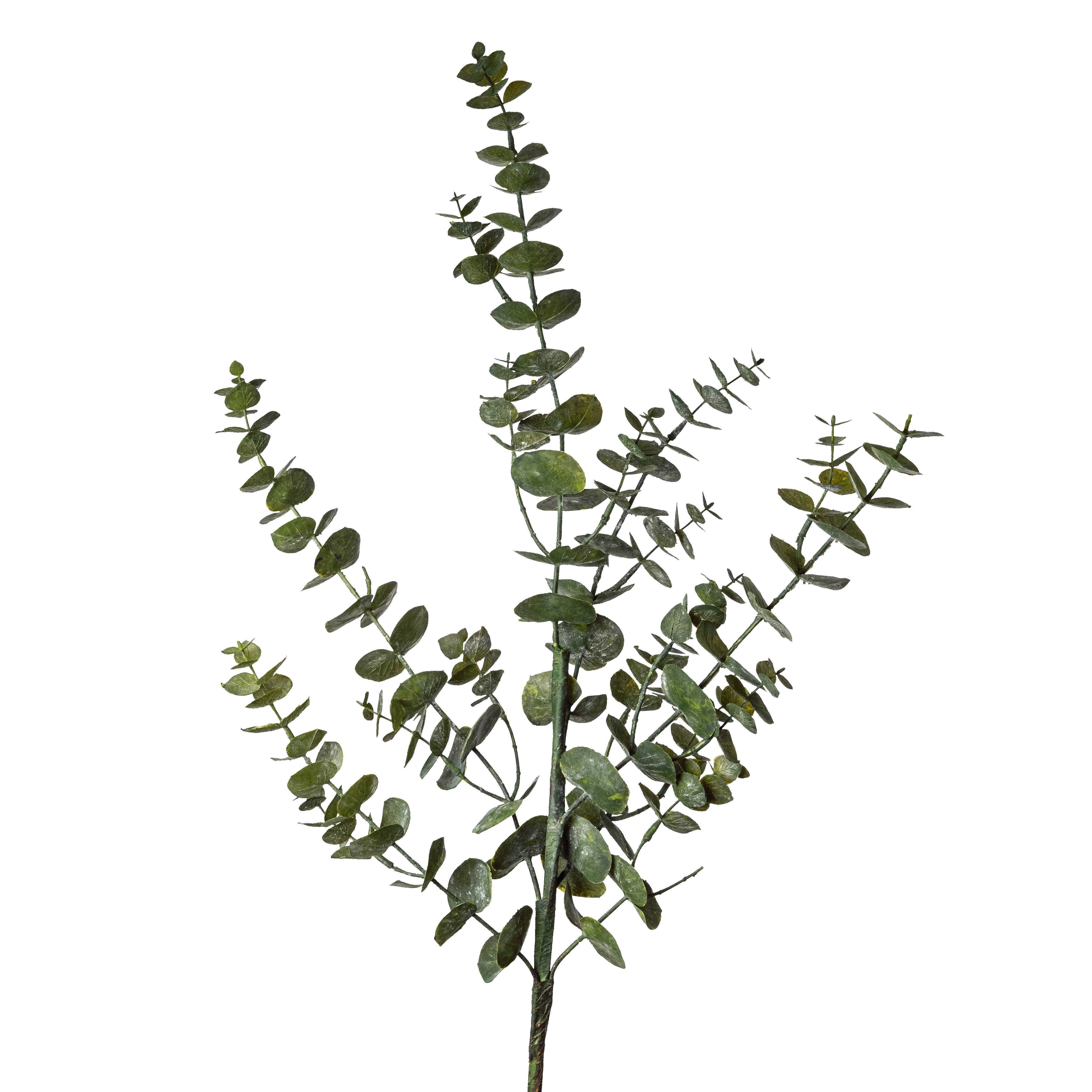 Flower Manufaktur Eukalyptus ca. 90cm in Farbe Grün