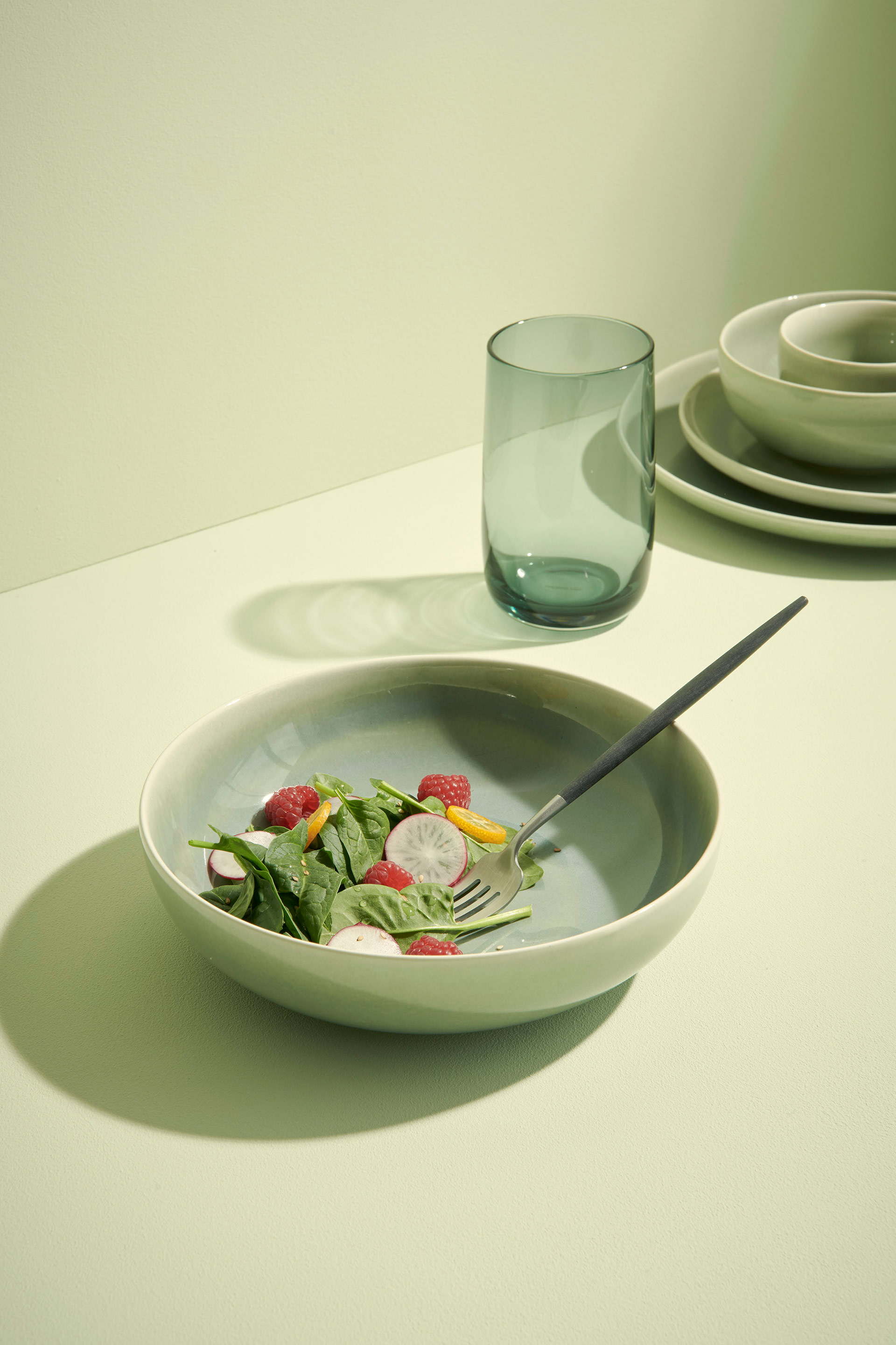 ASA Selection Salatschale Saisons in Farbe grün