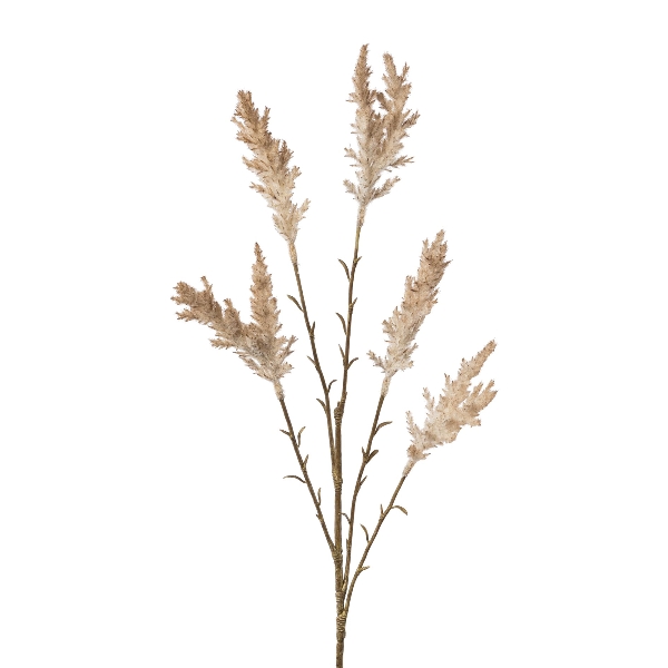 Miscantuszweig x5,68cm grau BALVAN in Grau, Pampasgras, Deko-Gras, Tapetenzweig, Trockenblume, Natürliche Deko