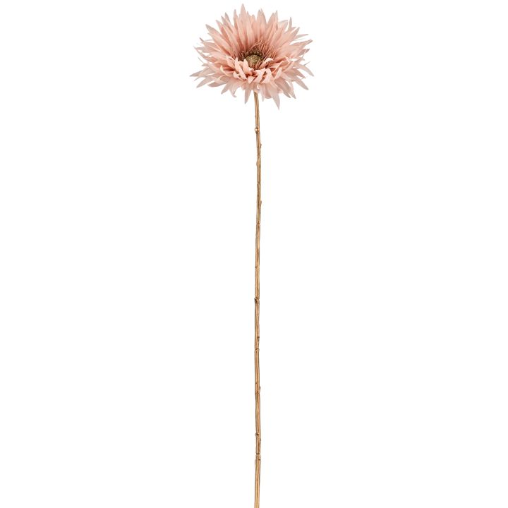 Gasper Gerbera, 63cm, rosa in Farbe Rosa Gasper Gerbera, 63cm, rosa in Farbe Rosa, blume, rosa blume, künstlicher stiel, getrocknete blume, botanische dekoration