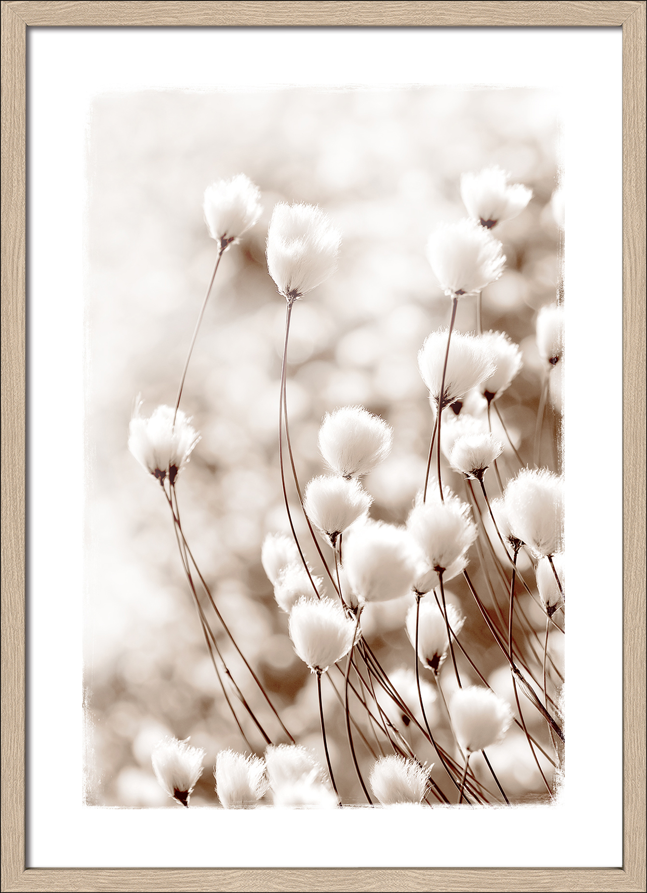 PRO ART Framed-Art Scandic Living 75x55cm Dried Fiber In The wind V