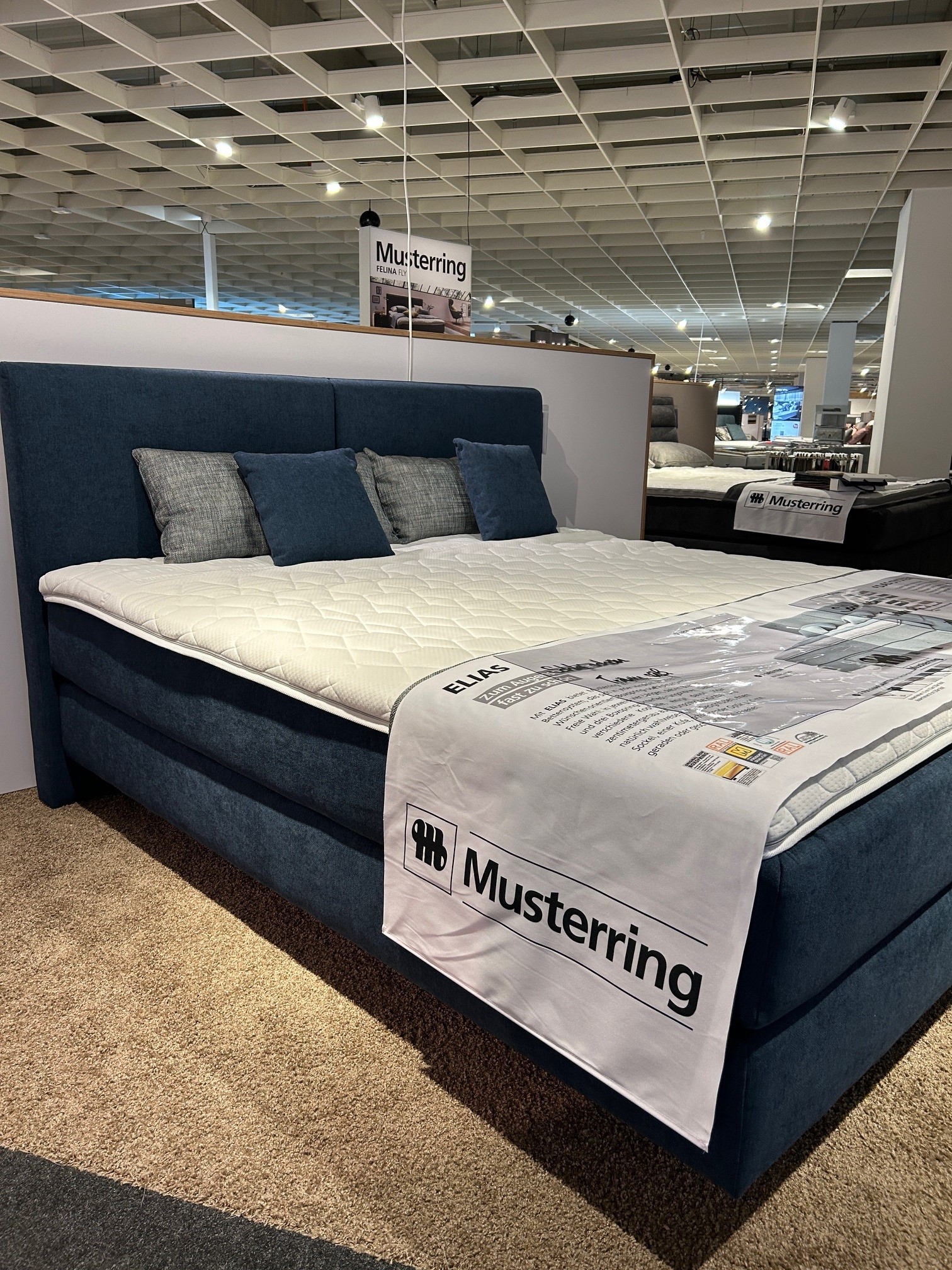 Musterring Boxspringbett ELIAS in Stoff Boxspring 08712 PG1