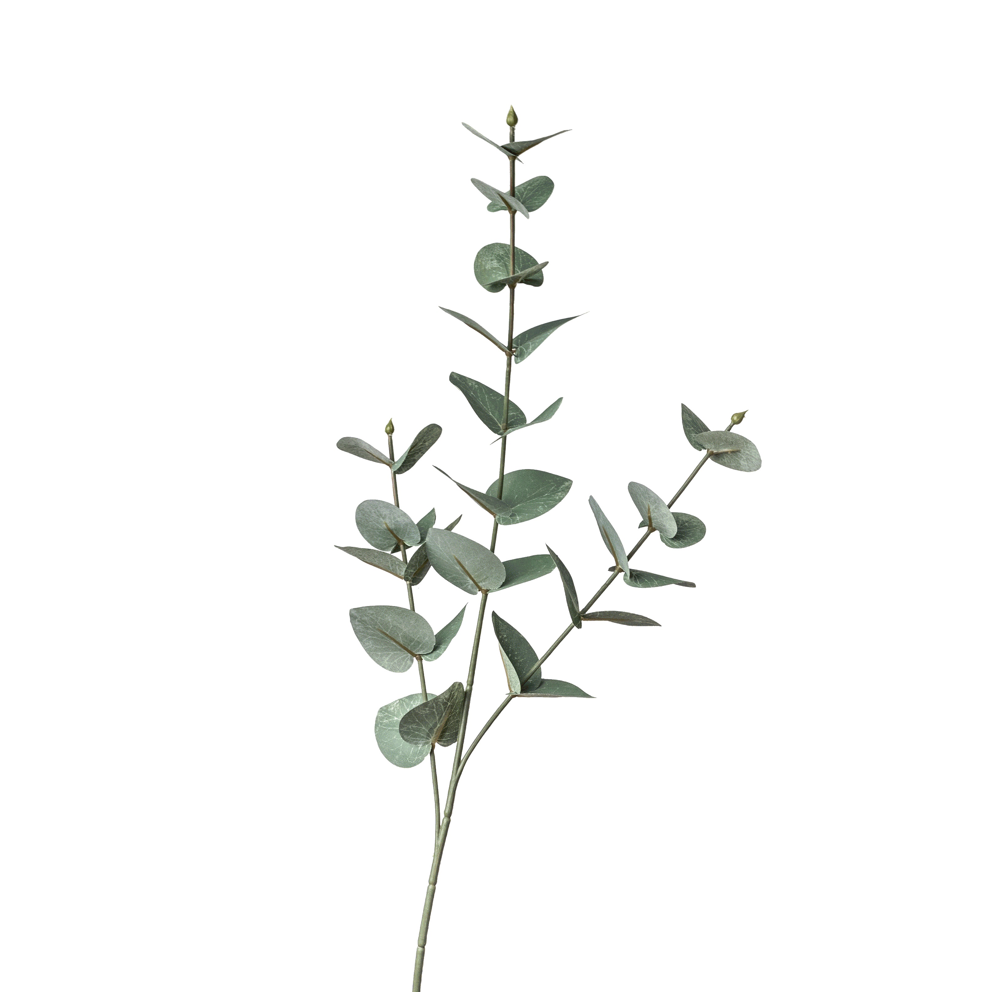 Flower Manufaktur Eukalyptuszweig ca. 68cm in Farbe Grün
