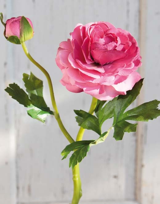 Ranunkel 32cm 32 in pink