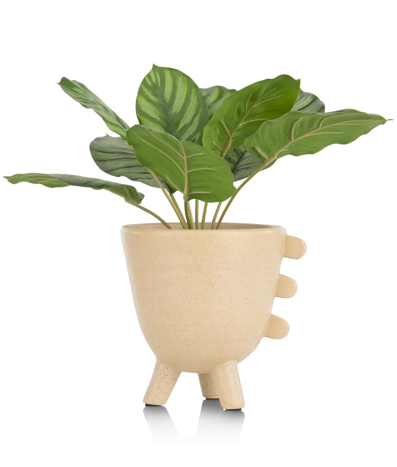 Coco Maison Kunstpflanze ca. H45 cm in Calathea Orbifolia