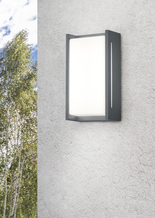 Trio LED-Wandleuchte INDUS in anthrazit, Glas Acryl weiß