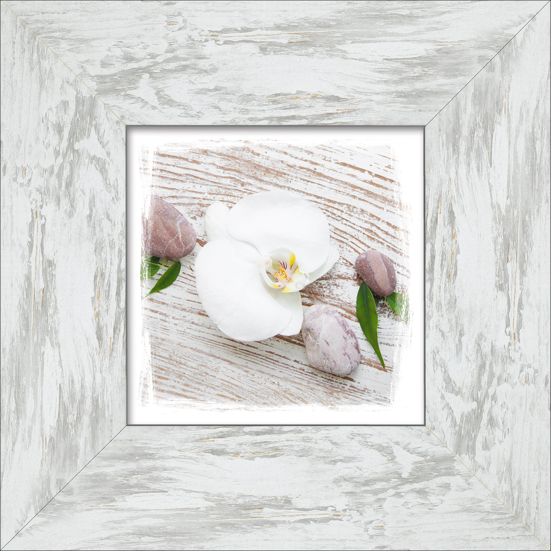 PRO ART New Classic Wood 34x34cm White Spring IV
