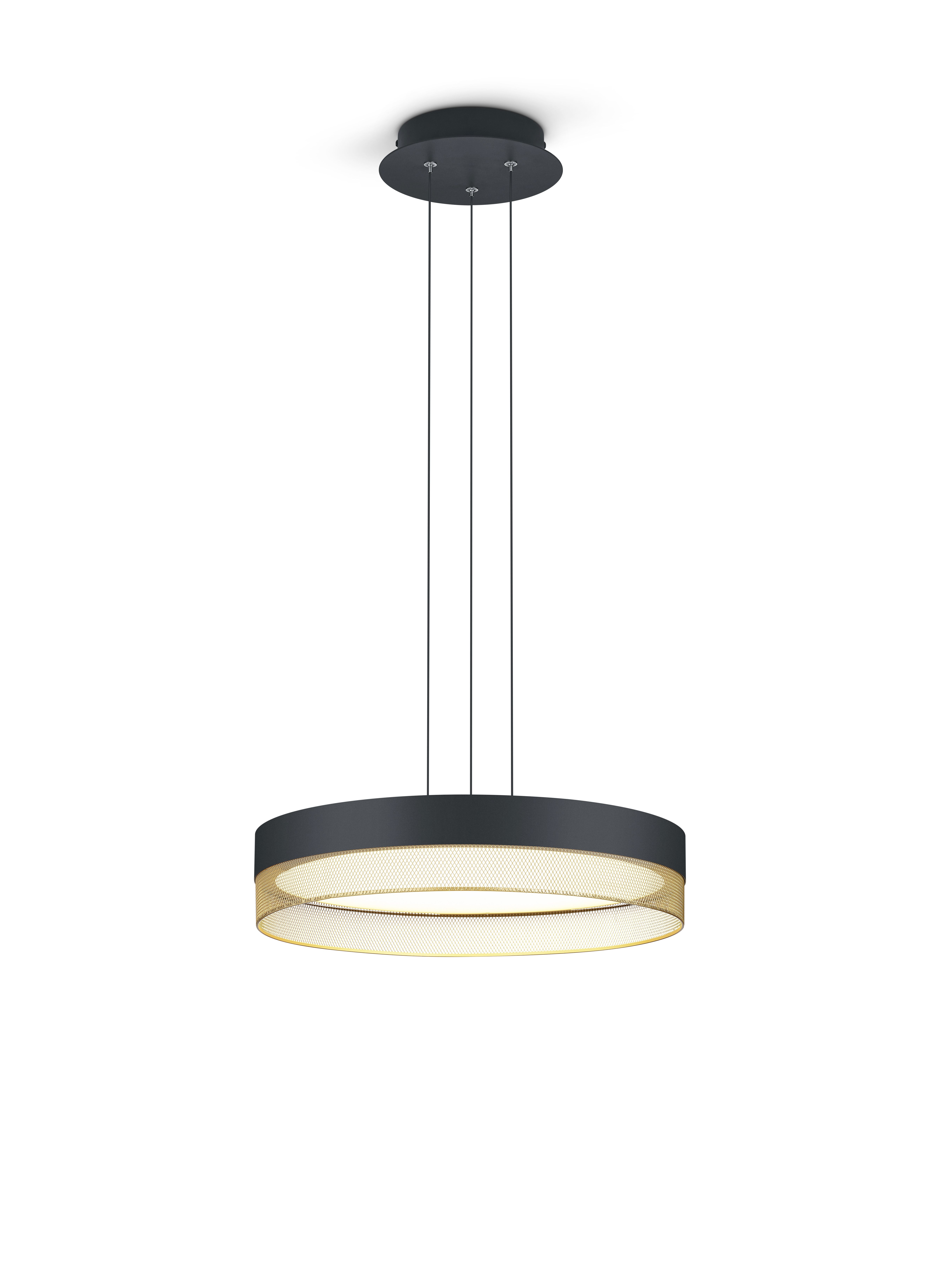 B-Leuchten LED-Pendelleuchte 1-flg. in schwarz-gold