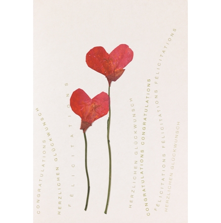 Karte Herzblüten Karte 2 Mohnblumen/HerzL.Glückwunsch Karte Herzblüten Karte 2 Mohnblumen/HerzL.Glückwunsch, flowers, red stems, pink flowers, card, Congratulations card