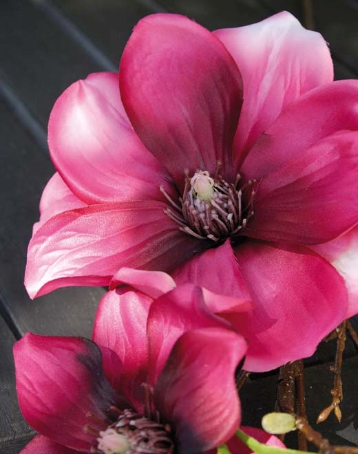 Magnolienblütenzweig 80cm in trendy purple