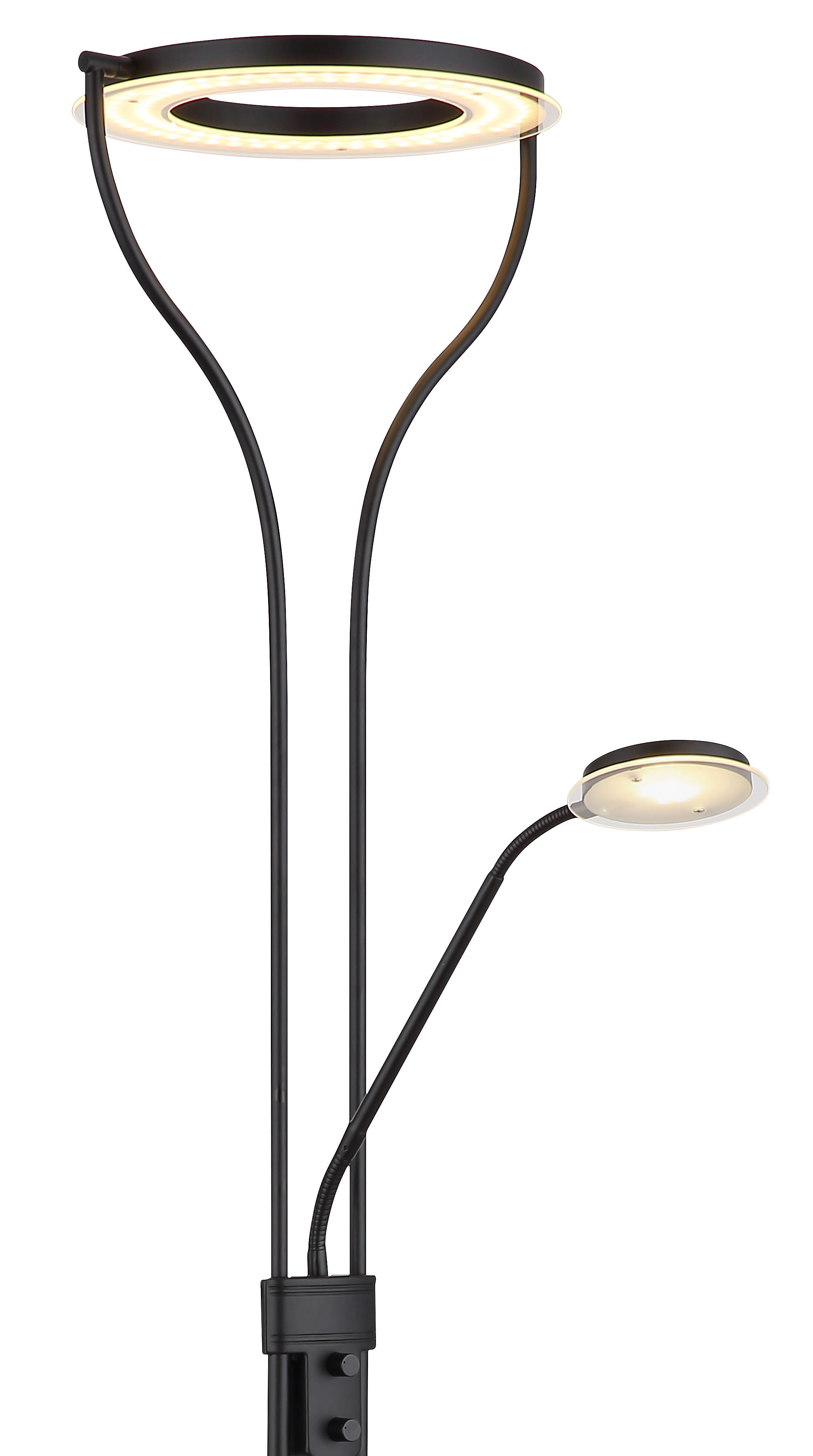 LED-Deckenfluter in Fb. Schwarz, Steh-/Wandleuchte, LED-Ring, Ring-Lampe, stahl, dimmbar