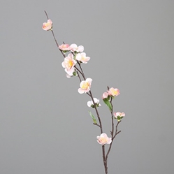 DPI Kirschblütenzweig in Farbe peach
