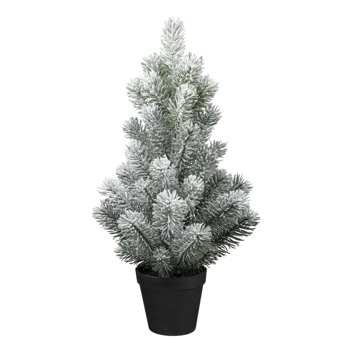 Gasper Tannenbaum im Topf in Farbe Schnee Gasper Tannenbaum im Topf in Farbe Schnee