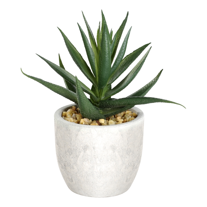 Eglo Living Kunstpflanze CHITOSE in Fb. creme,grün, Pflanze, Aloe