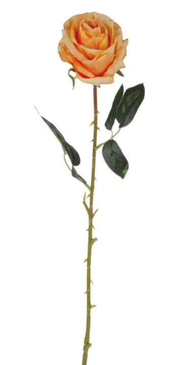  // Rose // orange // Durchmesser ca. 9 cm // Höhe ca. 65 cm