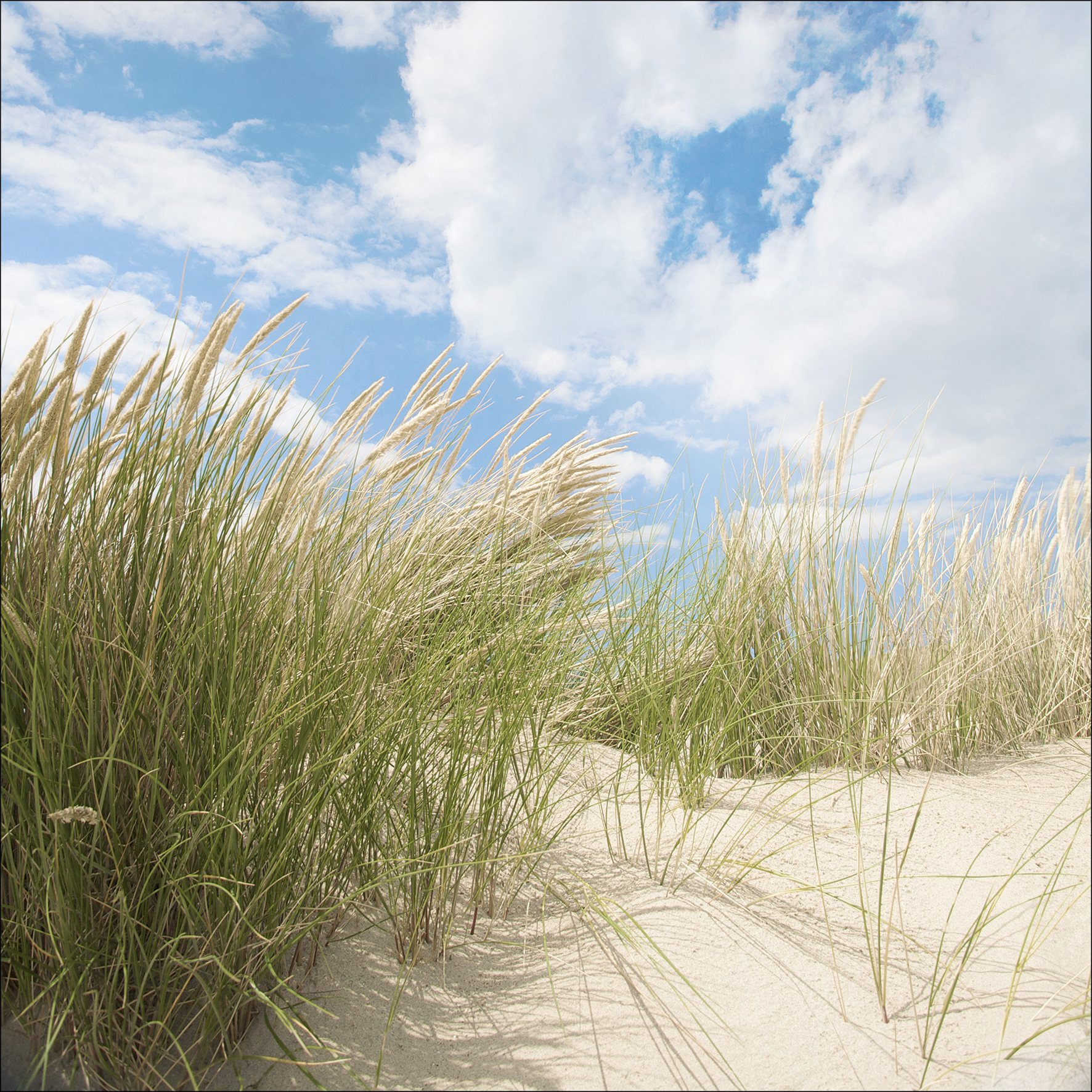 PRO ART Glas-Art 30x30cm Sommertag I