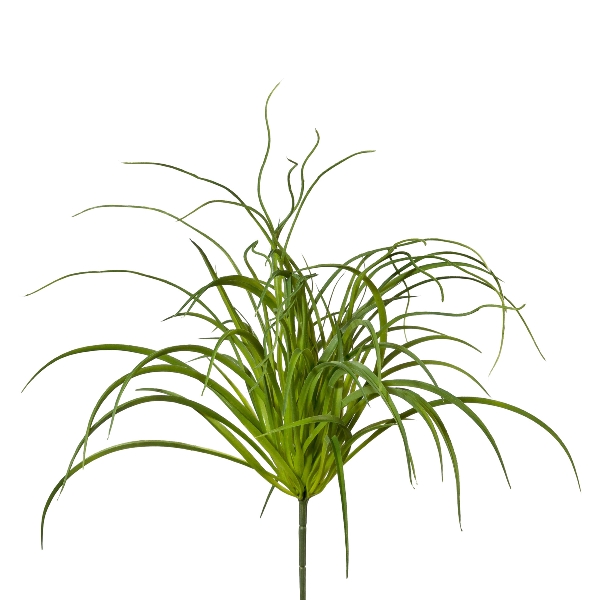 Gasper Seegrasbusch 1/Poly in Farbe Grün