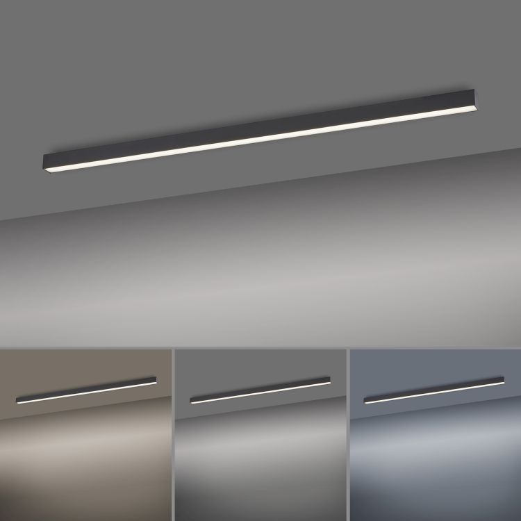Paul Neuhaus LED-Deckenleuchte Pure-Lines in Anthrazit