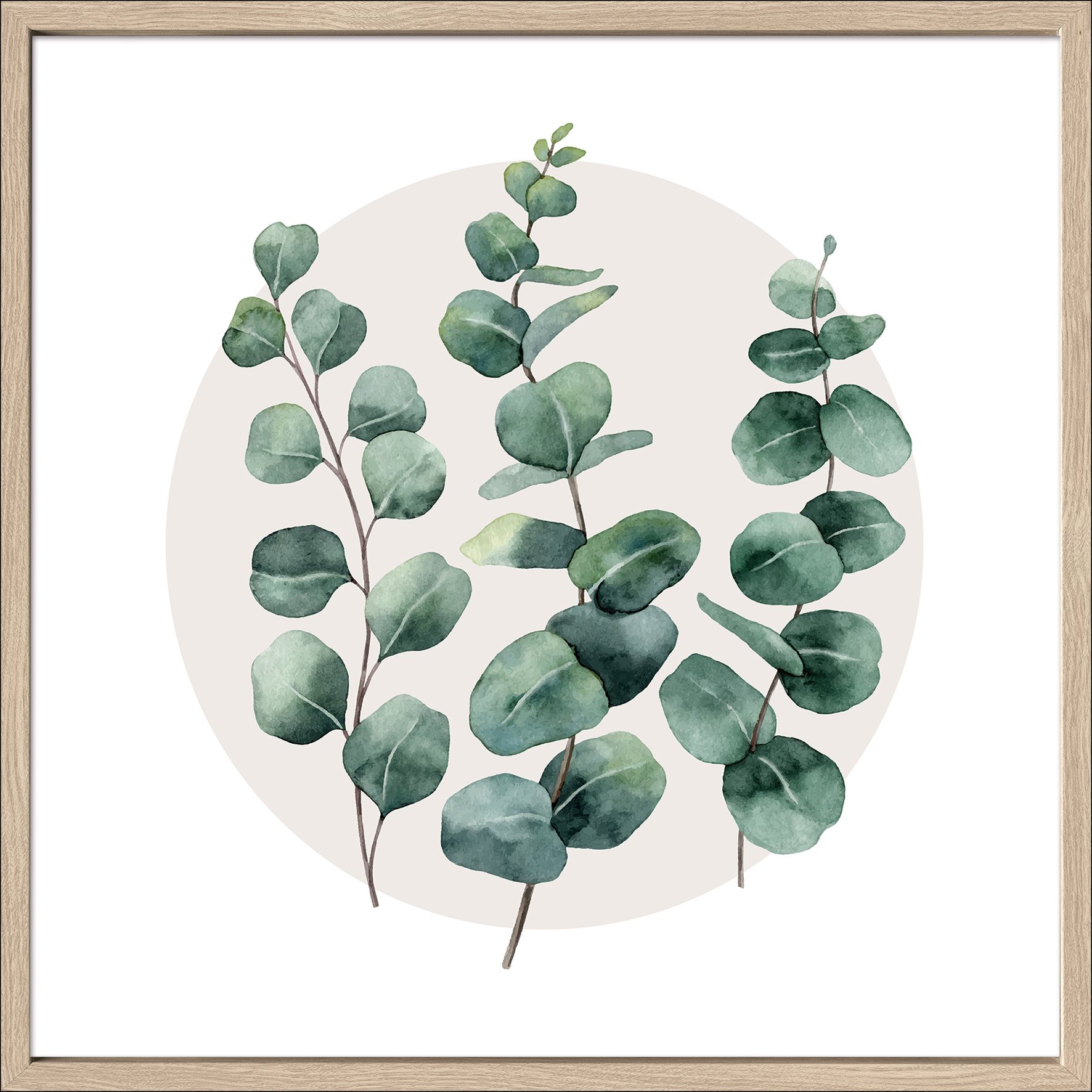 ProArt Kunstdruck, 55 x 55 cm Different Eucalyptus Branches l ca. 55x55cm MDF Rahmen, Glas