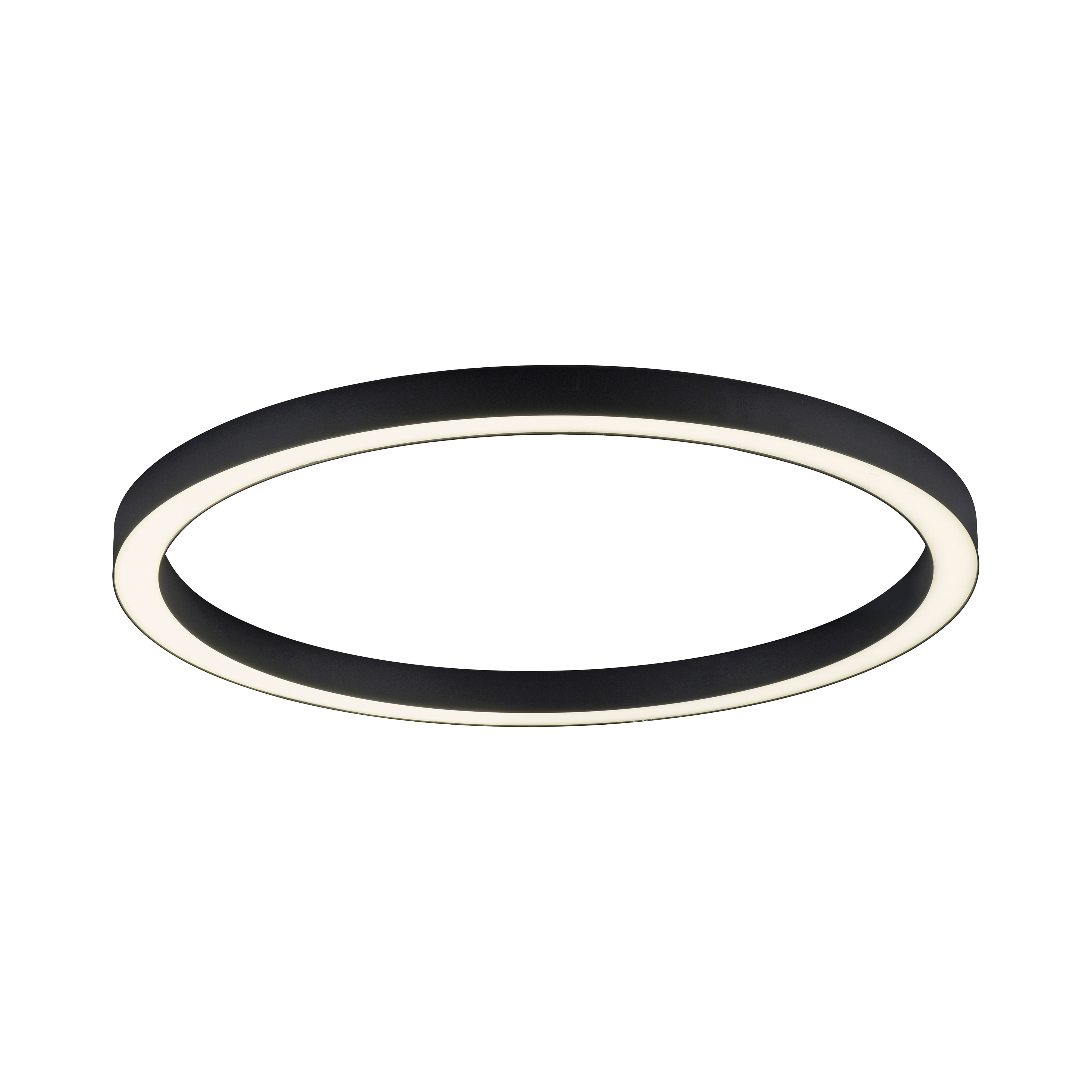 Paul Neuhaus LED-Deckenleuchte PURE LINES ROUND 1-flammig in Farbe anthrazit, LED-Ring, Deckenleuchte, Ringform, schwarz, Edelstahl/Aluminium