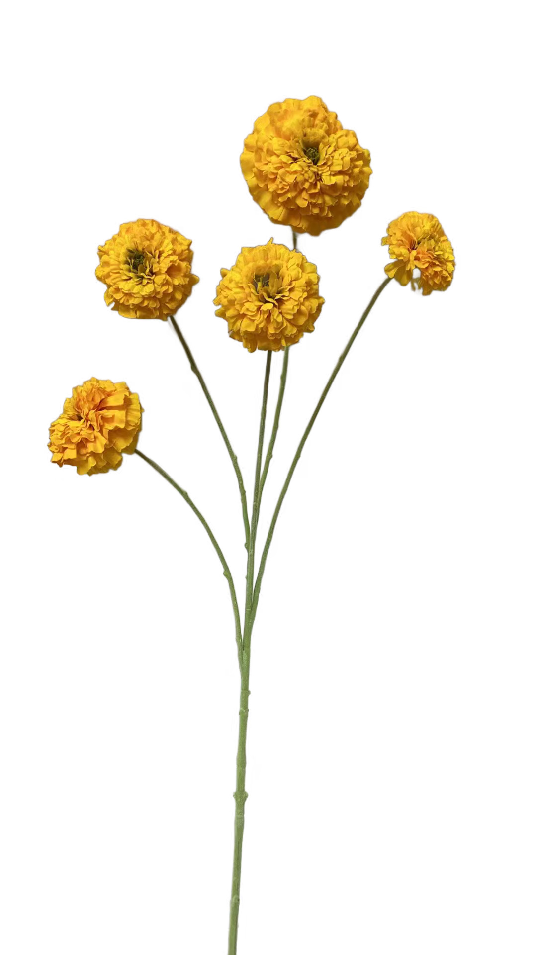 Tagetes ca. 95cm 1785-330 in Gelb, gelb, getrocknete blumen?, mumpfade, blumenstrauß, dried flowers