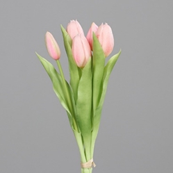 DPI Tulpen Bund in Farbe light rosee