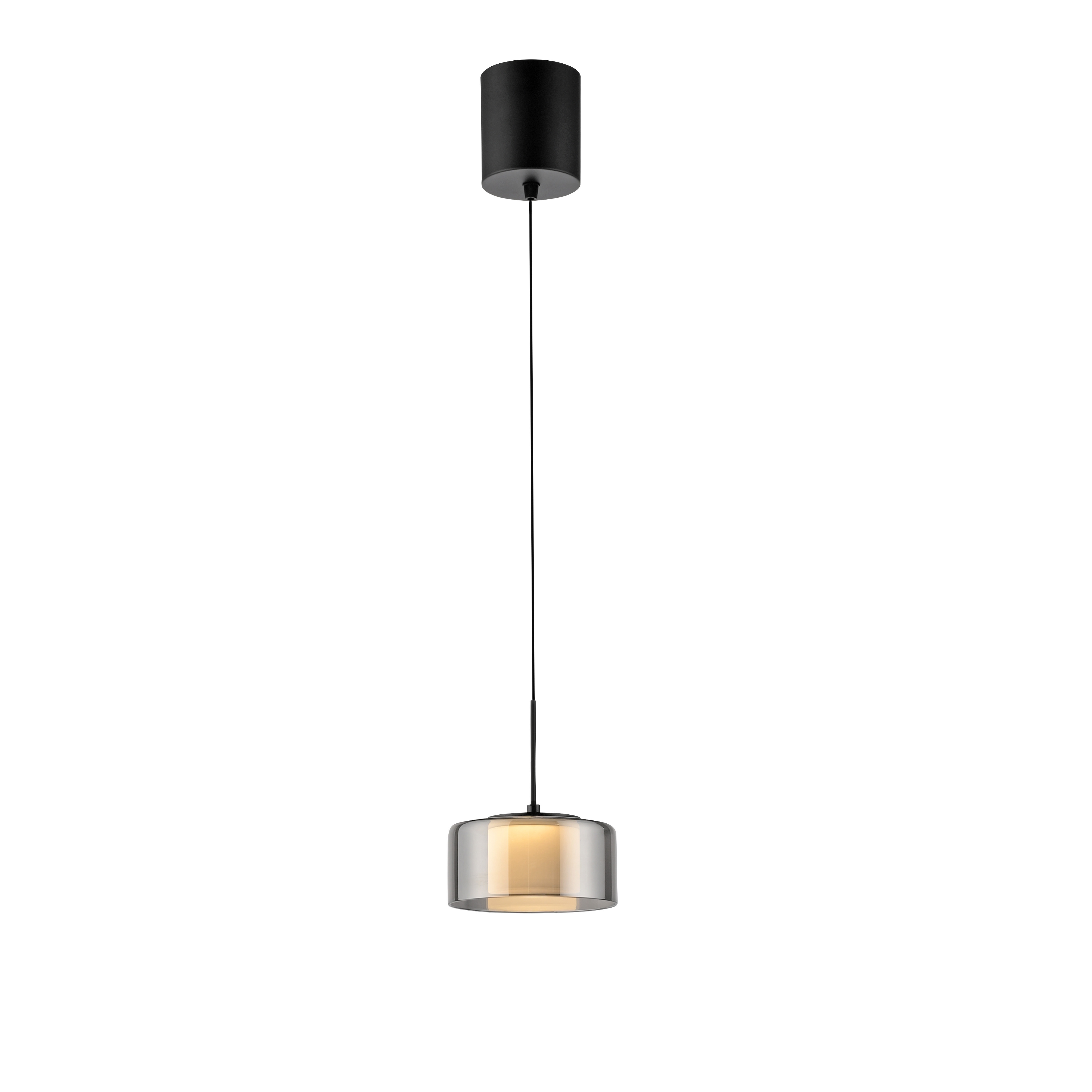 Paul Neuhaus LED-Pendelleuchte RIKA 1-flammig in Farbe schwarz, Deckenleuchte, Hängelampe, schwarches Deckenrosette, Glaslampe, warme Ausstrahlung