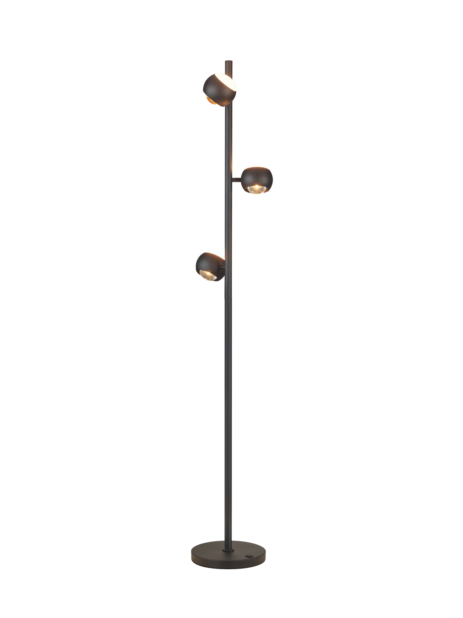 Musterring LED-Stehleuchte Cannon MR44443132