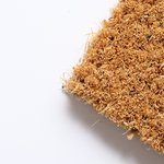  // Kokos natur // Text schwarz // ca. 60x40 cm