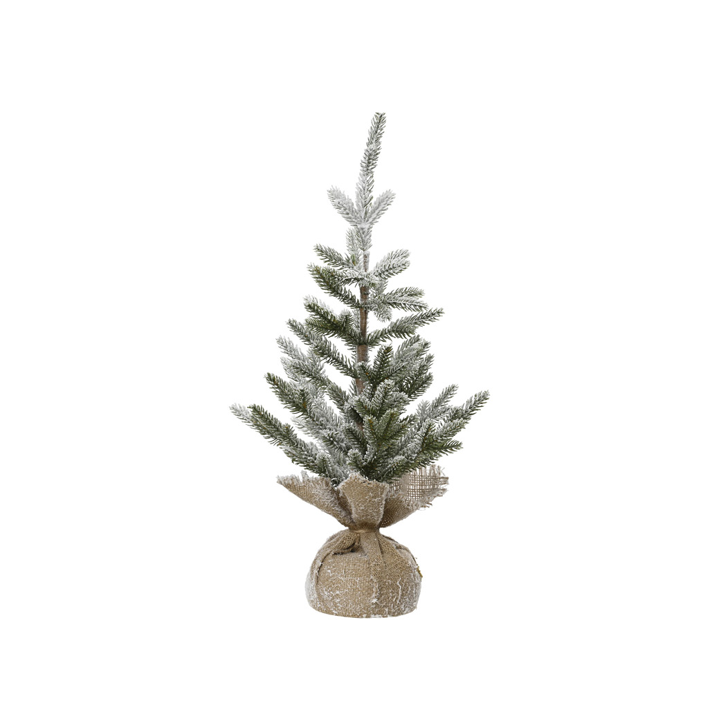 Pflanze, Baum, Weihnachtsdekorationen, Festival, Kiefer