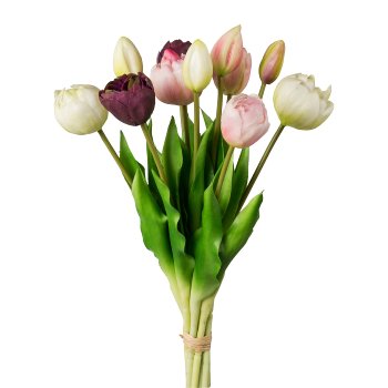 Gasper Gefüllte Tulpen 12er Bund in Farbe Rosa Mix