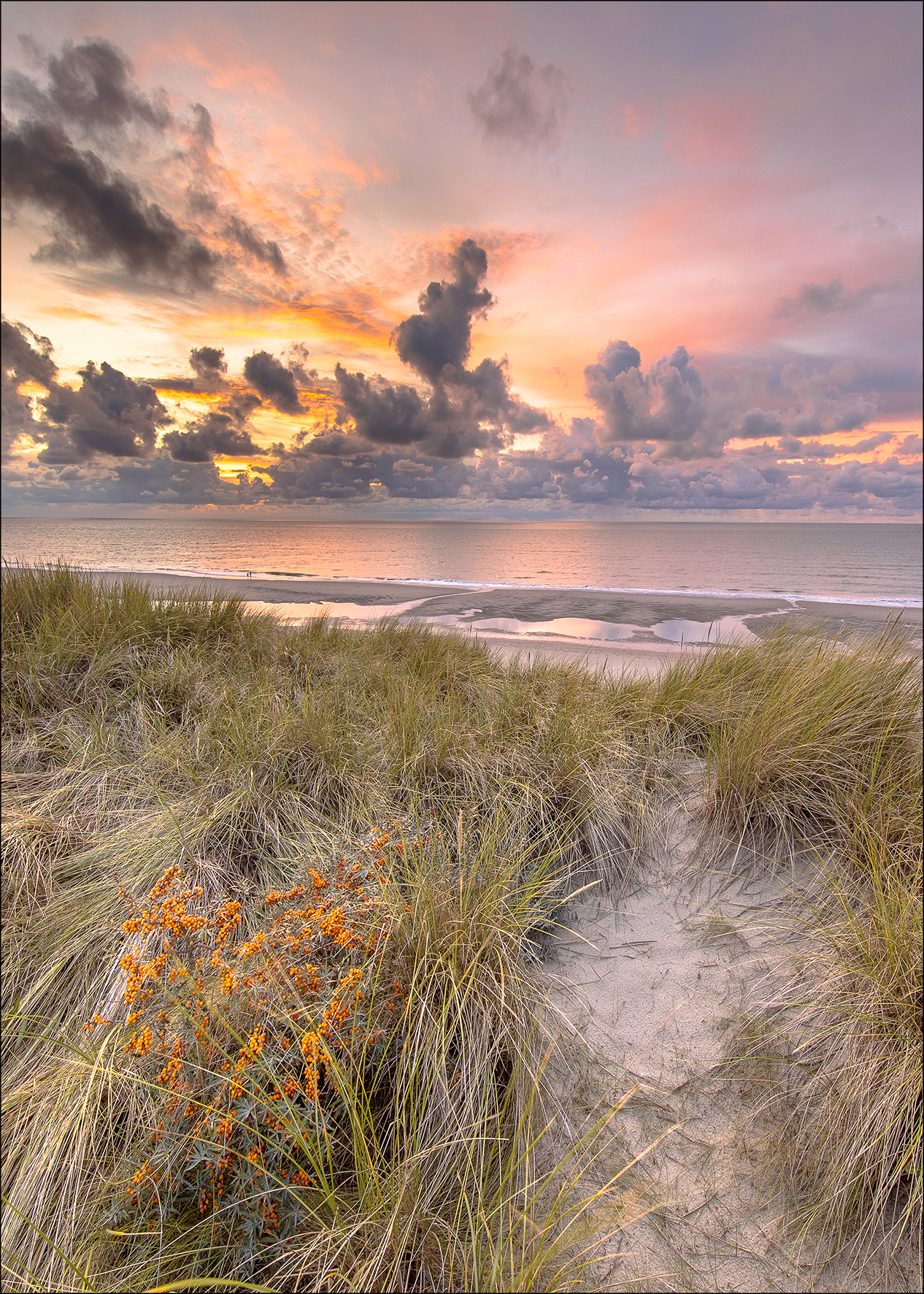 ProArt Alu-Art 70x100cm North Sea Sunset II ProArt Alu-Art 70x100cm North Sea Sunset II
