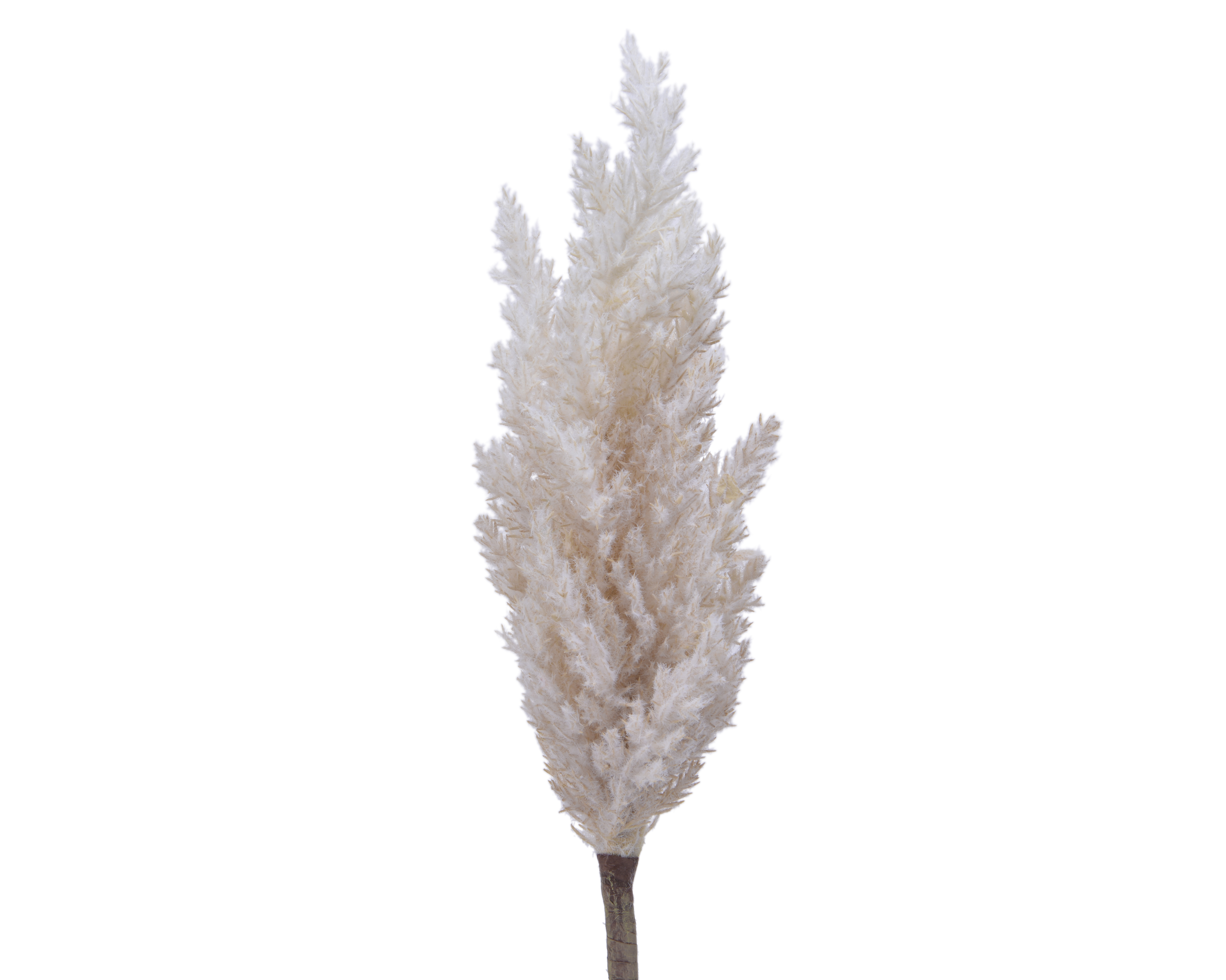 Kaemingk Gras in Farbe Beige/Weiß
