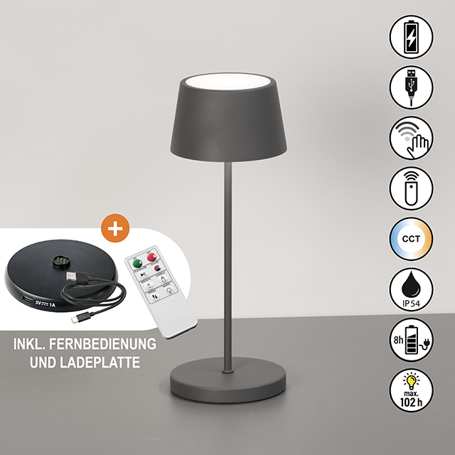 FH Lighting LED-Tischleuchte ASENA PRO in Metall sandgrau, Lampe, Tischlampe