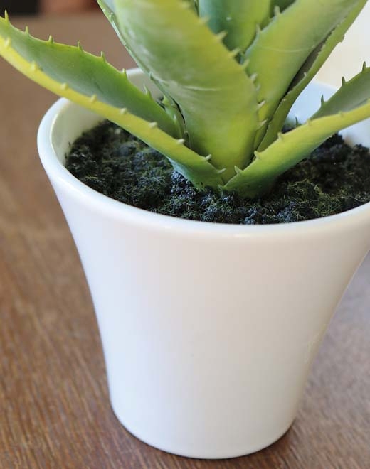 Aloe,getopft,20cm 6055883A3 in grün