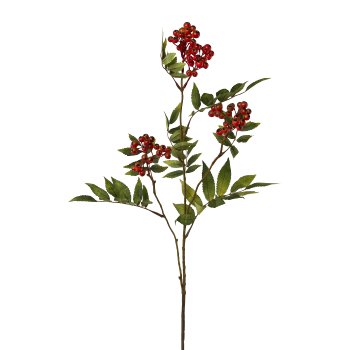 Gasper Ebereschenzweig in Farbe Rot Gasper Ebereschenzweig in Farbe Rot, Blume, Blumen-Arrangement, Pflanze, Blatt, Ikebana