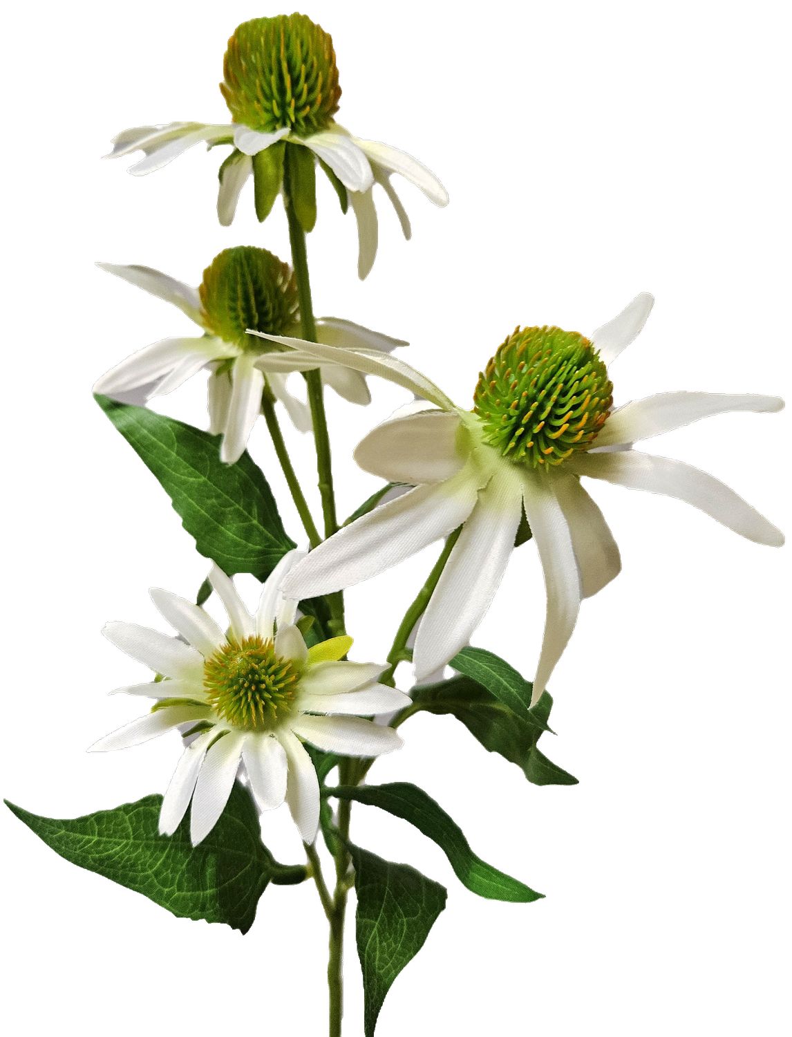 Andreas Sonnenhut,71cm SONNENHUT in creme-weiß