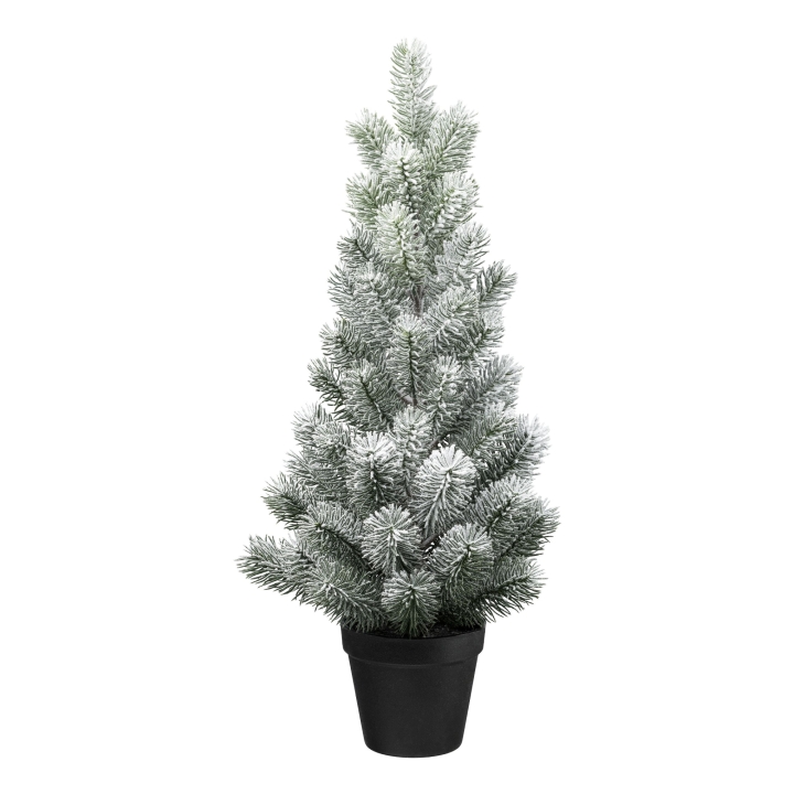 Gasper Tannenbaum im Topf in Farbe Schnee Gasper Tannenbaum im Topf in Farbe Schnee
